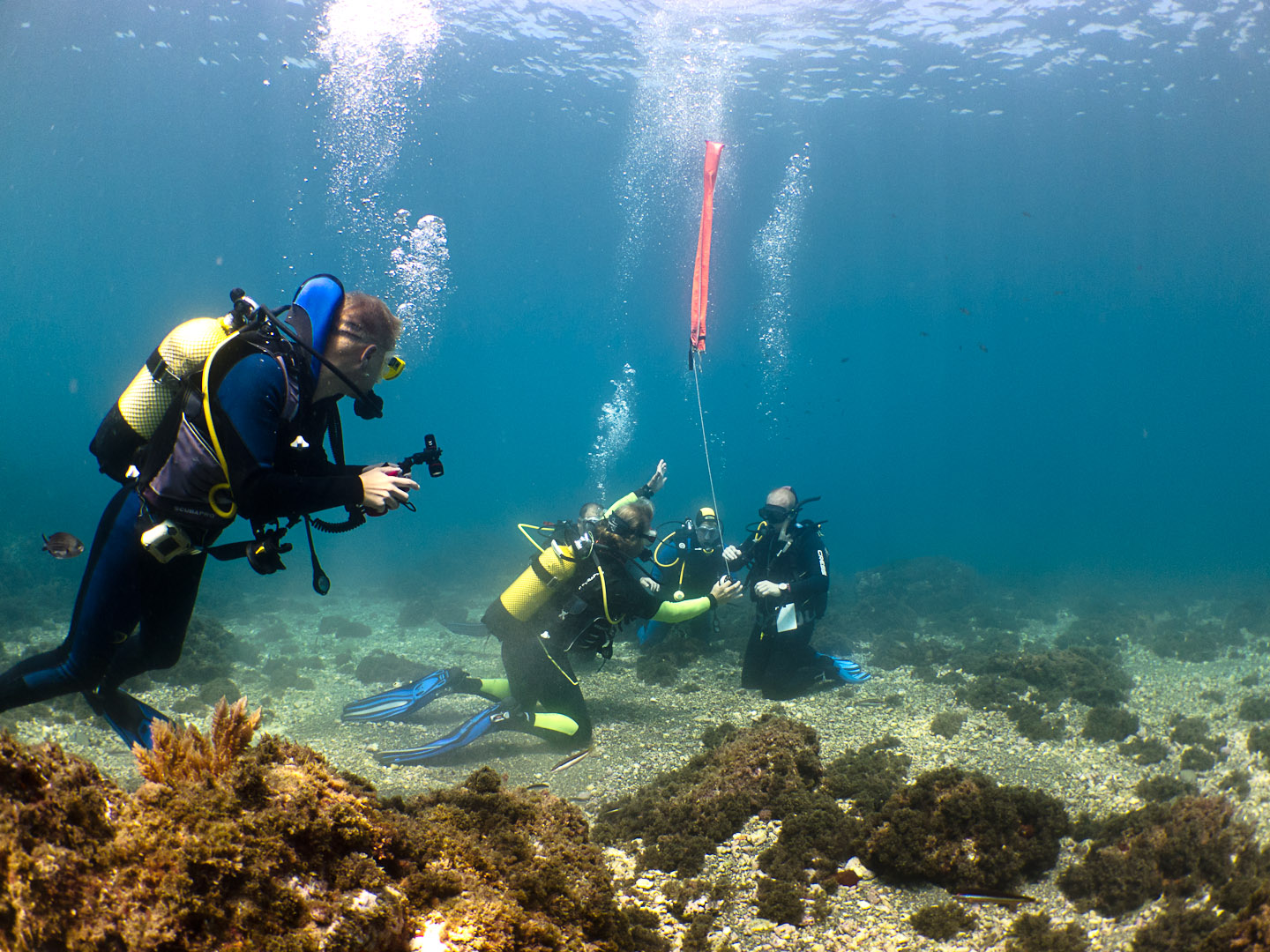 Divemaster PADI